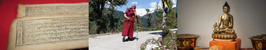 medicina tibetana